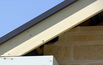 Sydling St Nicholas fascia repairs