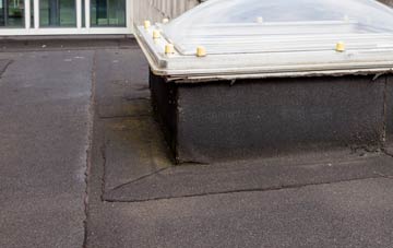 disadvantages of Sydling St Nicholas flat roofs
