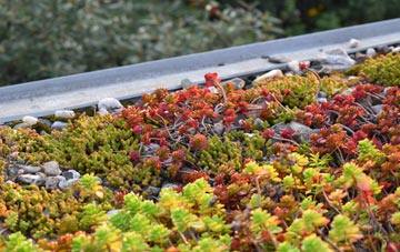 the cost of Sydling St Nicholas green roof installation