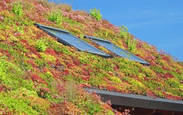 Sydling St Nicholas living roof systems
