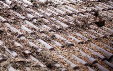 Sydling St Nicholas roof cleaning companies