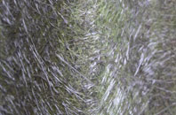 Sydling St Nicholas fibreglass roof work